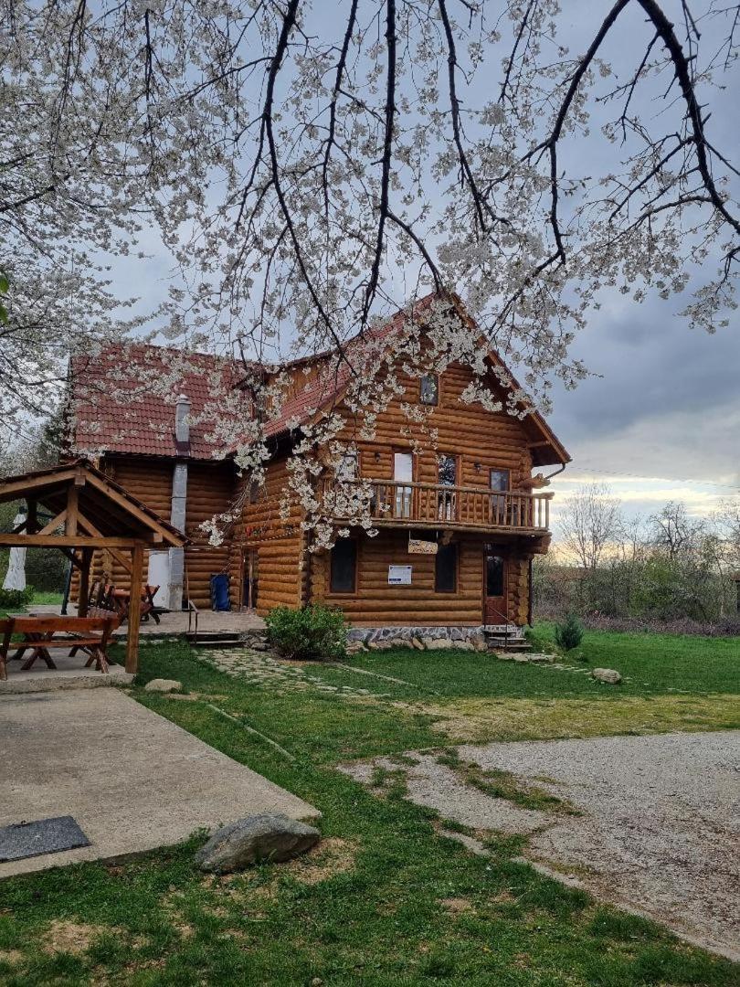 Villa Valea Vistisoarei Vistisoara Esterno foto